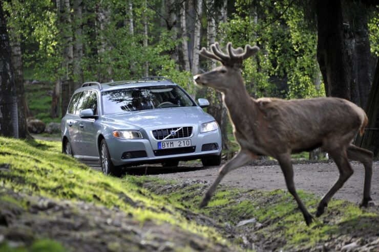 Volvo robi kolejny krok